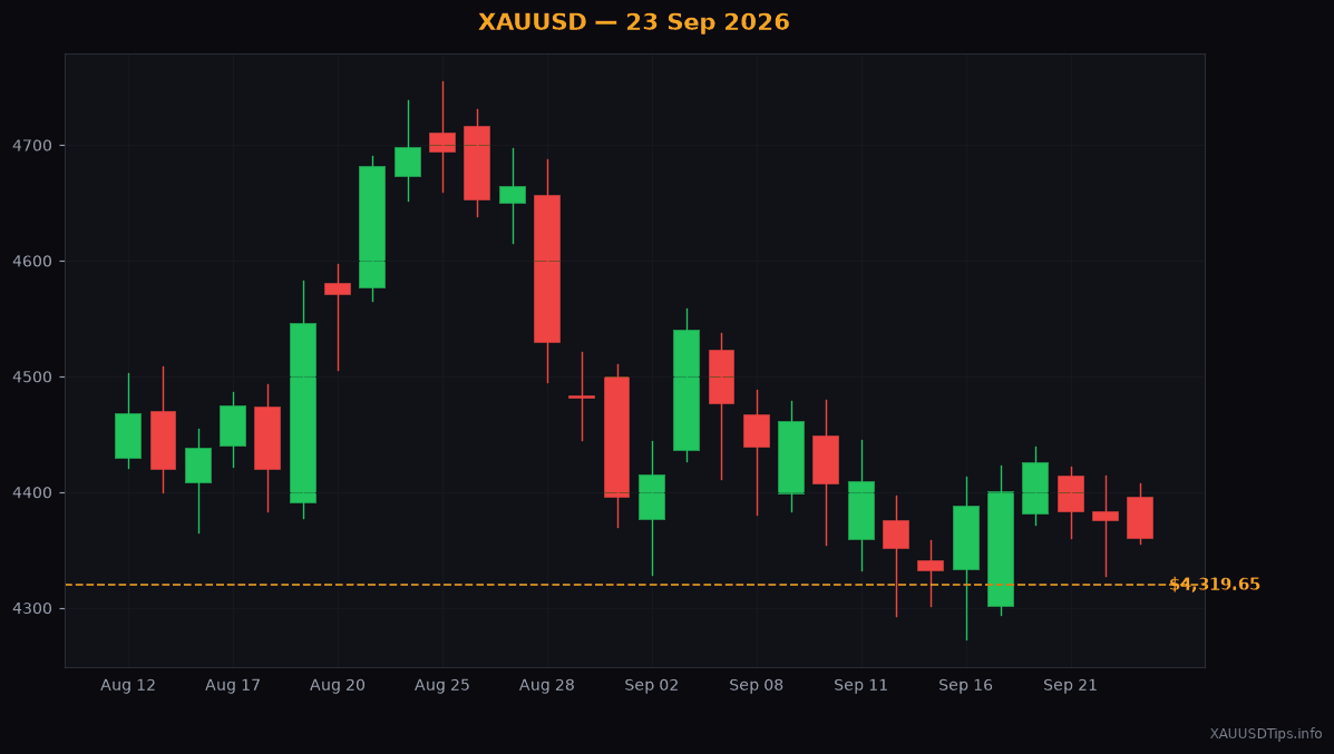 Gold Price Drops to $4319: What to Watch Today